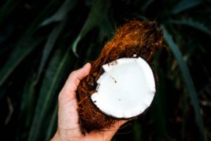 coconut oil is a great fat burning foods